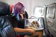 animali a bordo
