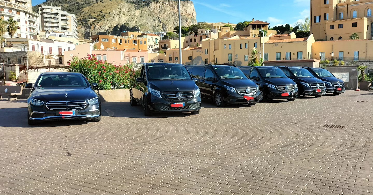 noleggio di un autista professionista