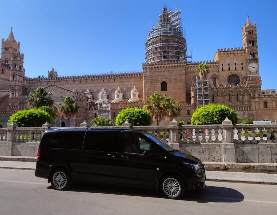 Autista noleggio con conducente - Noleggio con conducente - Chauffeur Service - Taxi Service