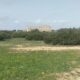 Taxi Sicilia