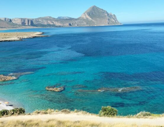 autista-noleggio-auto