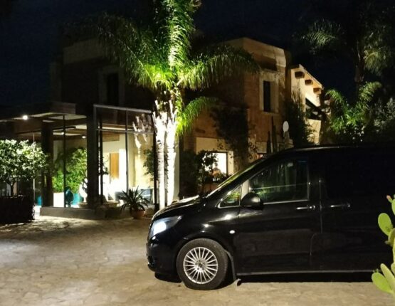 servizio-vip-service